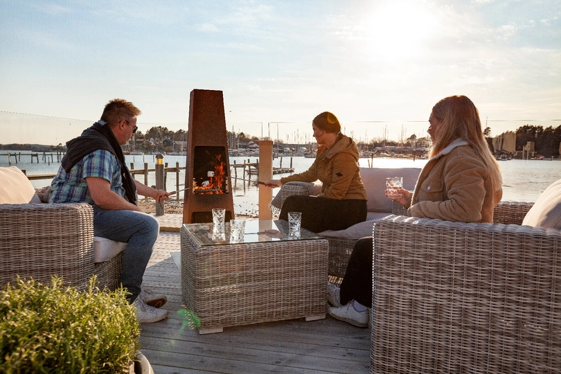 Печь - камин JOTUL LOKE - 2