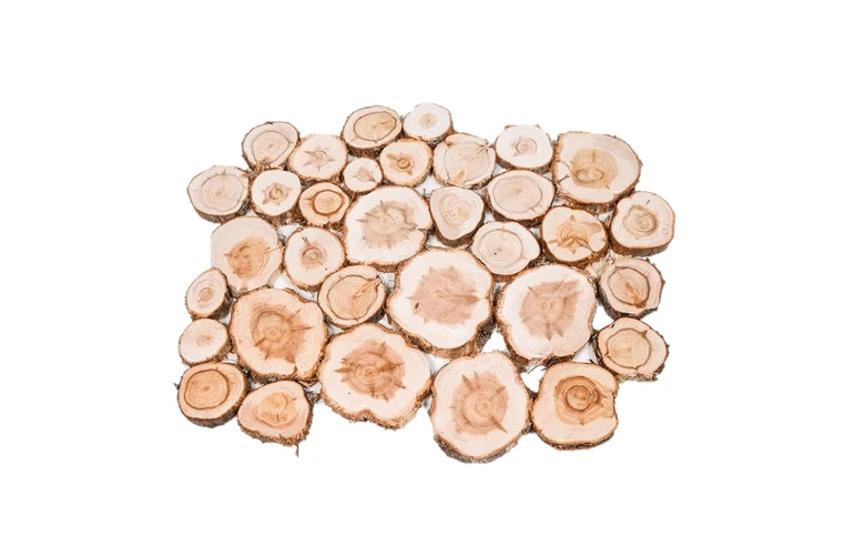 Спилы из&nbsp;можжевельника 1м.кв.