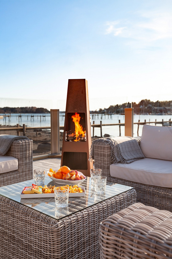 Печь - камин JOTUL LOKE - 1min