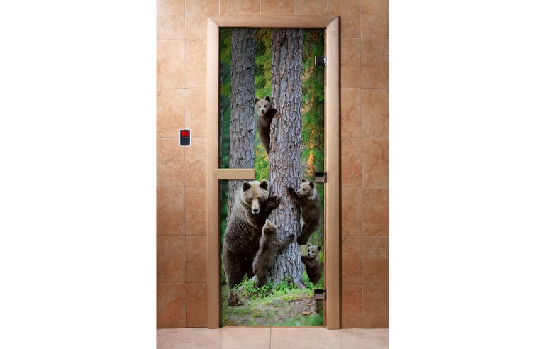 ДВЕРЬ С ФОТОПЕЧАТЬЮ A064